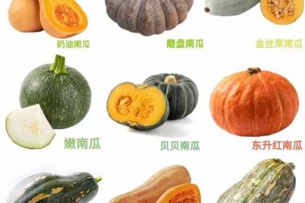 算命南瓜命:揭示你的命运与生活中的奇妙联系 算命南瓜命:揭示你的命运与生活中的奇妙联系