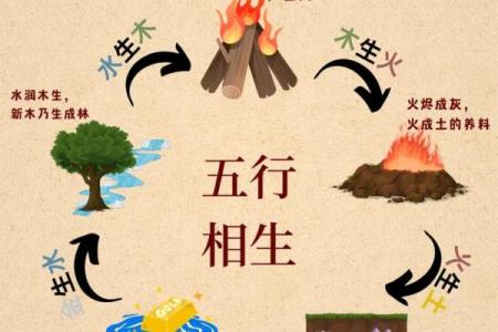 水命人与土命人的属相解析：相生相克的命理之旅