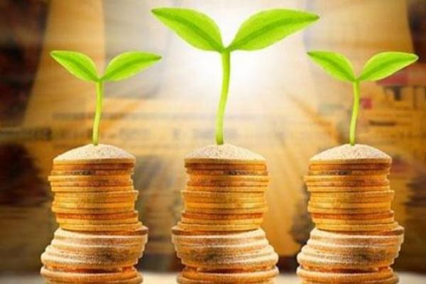 2019年的土命年揭秘:它对你生活的影响与指引 2019年的土命年揭秘:它对你生活的影响与指引