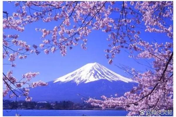 探寻命运的迷雾：为什么大家总说命不好？