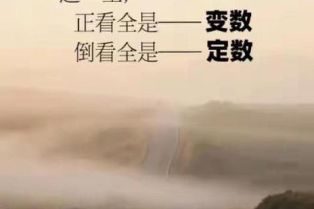 探索吊命的深意与人生命运的交织