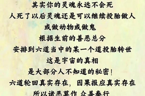乾化命与坤化命的深层解读:让我们探寻生命的奥秘 乾化命与坤化命的深层解读:让我们探寻生命的奥秘