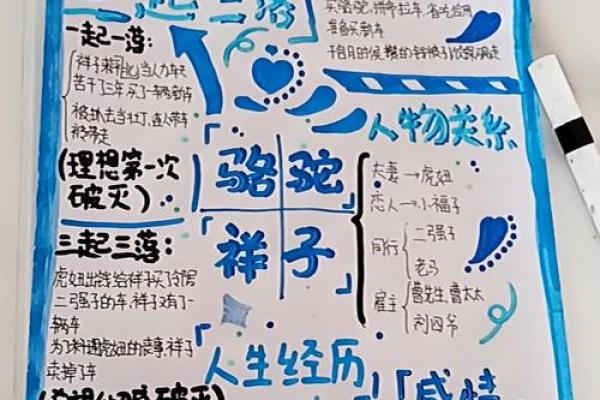 90年12月出生的人命运解析：探索你的天赋与人生轨迹