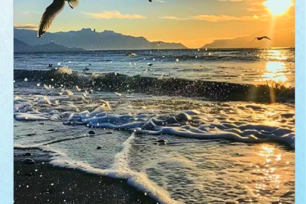 海鸥命的人:自由灵魂与追逐梦想的勇士 海鸥命的人:自由灵魂与追逐梦想的勇士