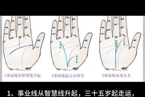 揭秘手相主要线条:解读命运的钥匙 揭秘手相主要线条:解读命运的钥匙