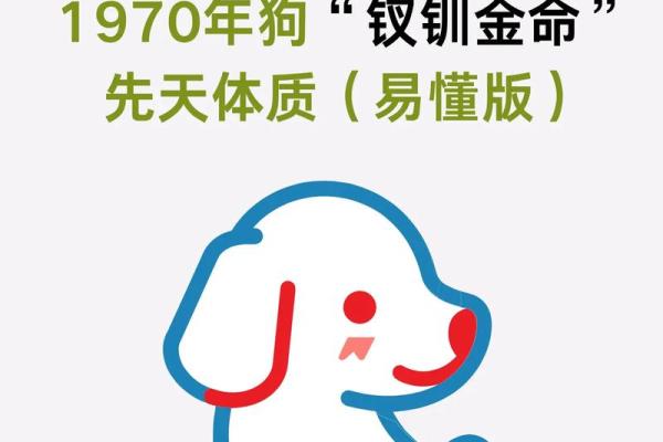 82年戌狗命:解读你的性格与命运,掌握生活的智慧 82年戌狗命:解读你的性格与命运,掌握生活的智慧