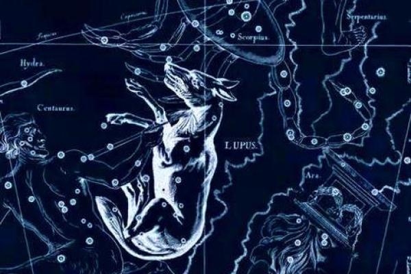 紫微贪狼入命:揭秘命理中神秘的紫微星及贪狼星的影响力 紫微贪狼入命:揭秘命理中神秘的紫微星及贪狼星的影响力