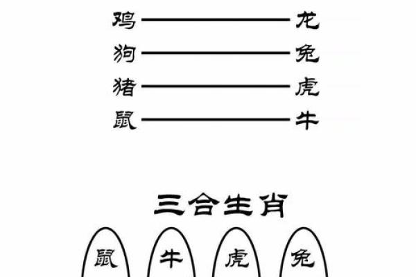 各个属相命理揭秘:你的命运由什么决定? 各个属相命理揭秘:你的命运由什么决定?