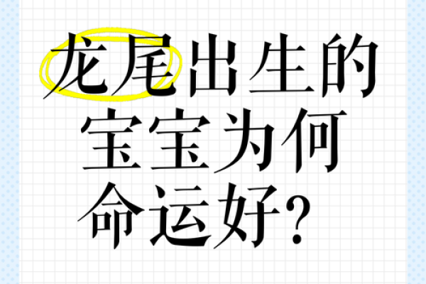 探索龙命的奥秘：解读生命中的龙与命运的关系