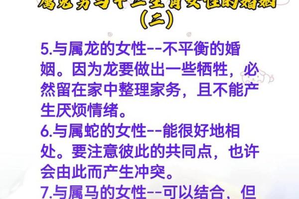 属兔的情感与运势：探索兔年出生者的星座与命理之道