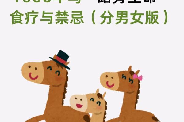 马儿与命理的相性:哪些人最适合与马为伴? 马儿与命理的相性:哪些人最适合与马为伴?