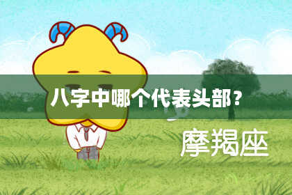八字中哪个代表头部？