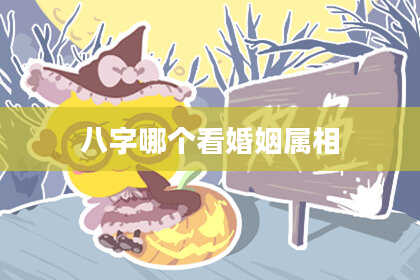 八字哪个看婚姻属相