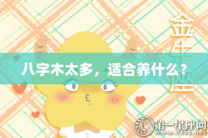 八字木太多，适合养什么？