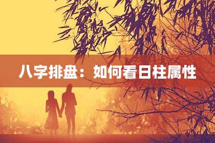八字排盘：如何看日柱属性