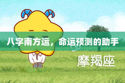 八字南方运，命运预测的助手