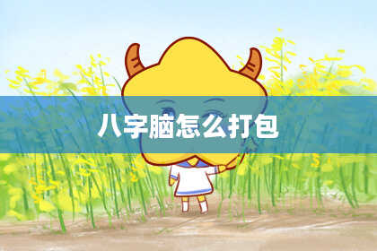 八字脑怎么打包