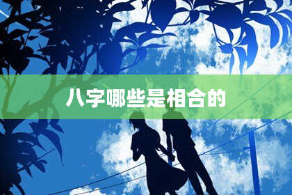 八字哪些是相合的