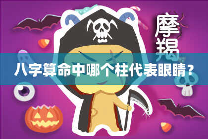 八字算命中哪个柱代表眼睛？