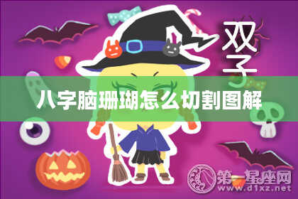 八字脑珊瑚怎么切割图解