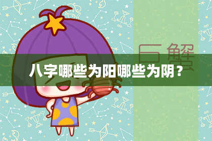 八字哪些为阳哪些为阴？