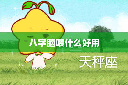 八字脑喂什么好用