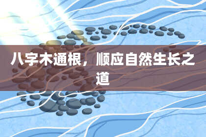 八字木通根，顺应自然生长之道