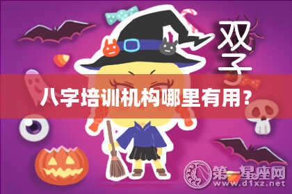 八字培训机构哪里有用？