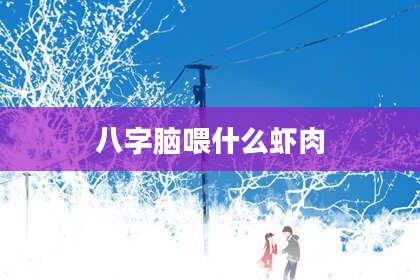 八字脑喂什么虾肉
