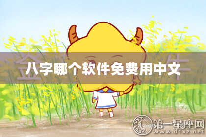八字哪个软件免费用中文