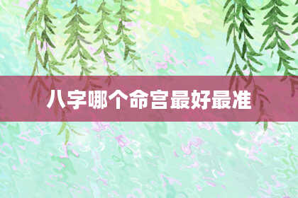 八字哪个命宫最好最准