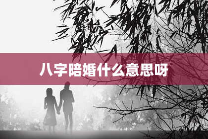 八字陪婚什么意思呀