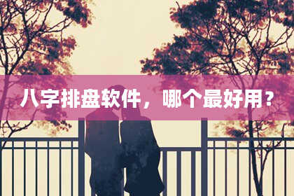 八字排盘软件，哪个最好用？