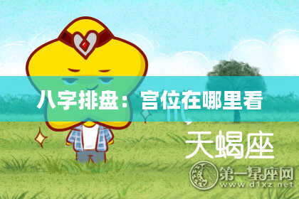 八字排盘：宫位在哪里看