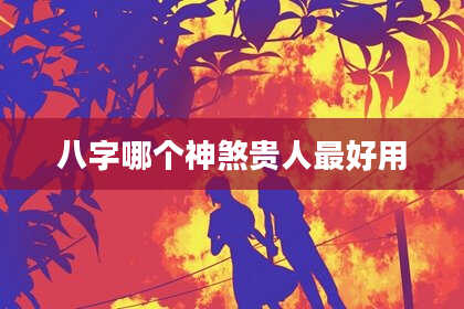 八字哪个神煞贵人最好用