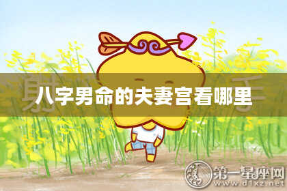 八字男命的夫妻宫看哪里