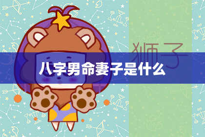 八字男命妻子是什么