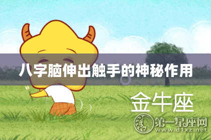 八字脑伸出触手的神秘作用