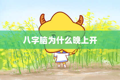 八字脑为什么晚上开