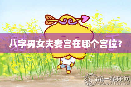 八字男女夫妻宫在哪个宫位？