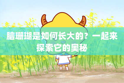 脑珊瑚是如何长大的？一起来探索它的奥秘