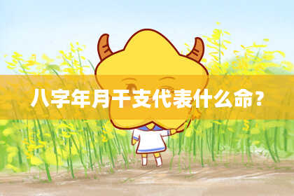 八字年月干支代表什么命？