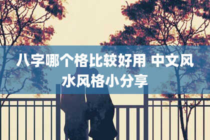 八字哪个格比较好用 中文风水风格小分享