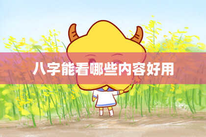 八字能看哪些内容好用
