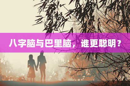 八字脑与巴里脑,谁更聪明?