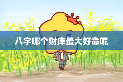 八字哪个财库最大好命呢