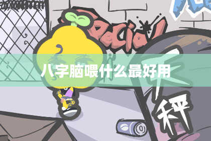 八字脑喂什么最好用