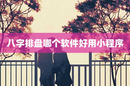 八字排盘哪个软件好用小程序