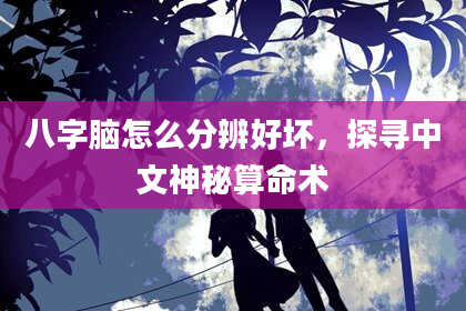八字脑怎么分辨好坏，探寻中文神秘算命术