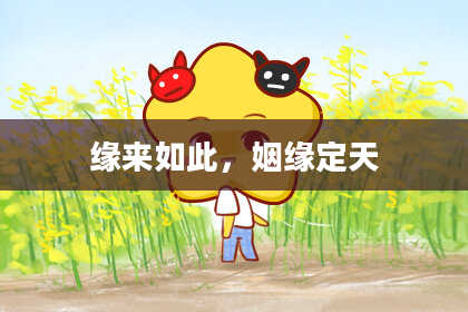 缘来如此,姻缘定天